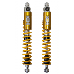 Öhlins S36PR1C1 KL-SKM447PRC